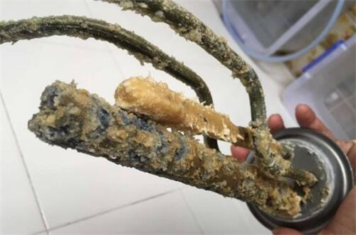 ŭؕɽ՚ܟˮϴr_24Сr(w)